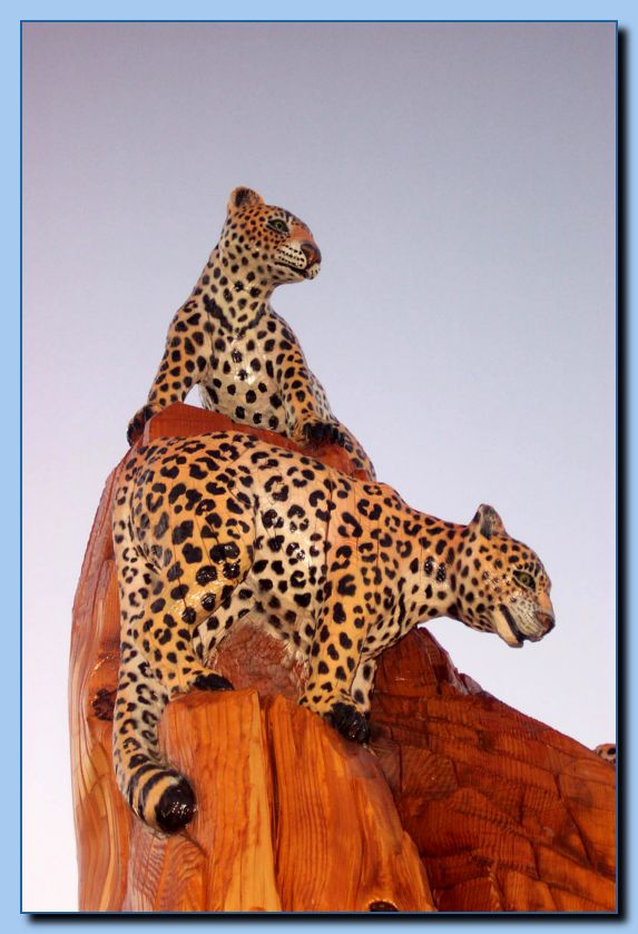 1-13 leopards